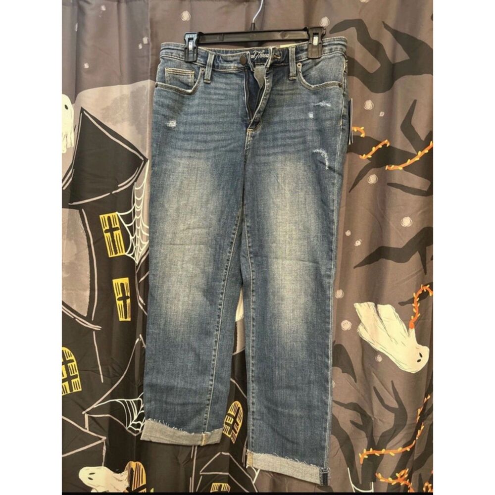 NWT Universal Thread Women's High-Rise Straight Crop Jeans